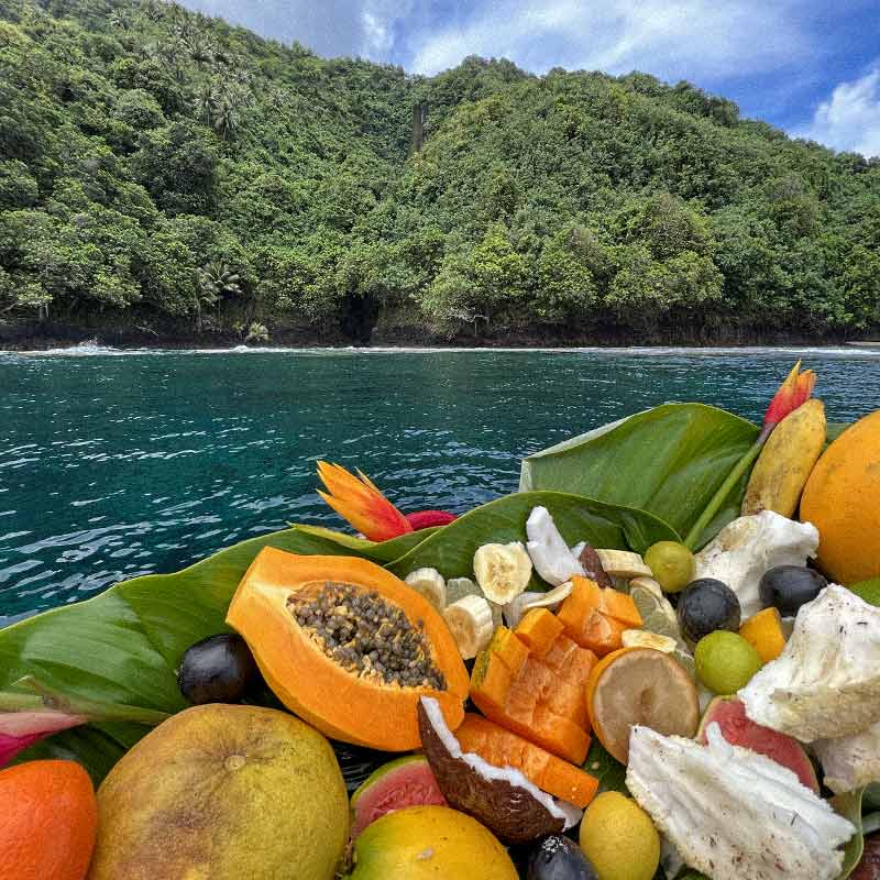 Teahupo'o Lagoon Tour Tour lagon