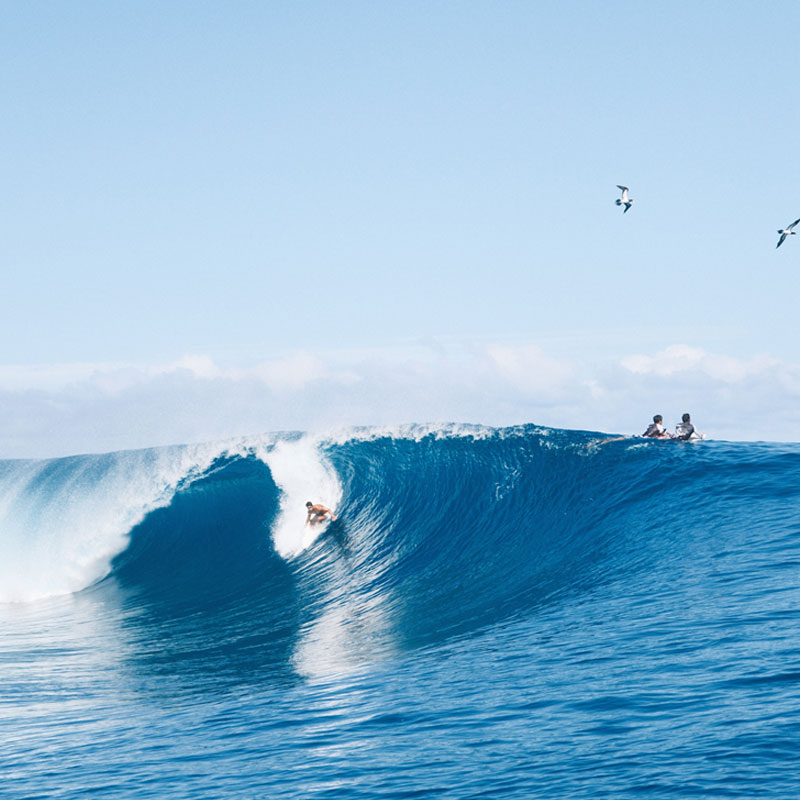 Teahupo'o Lagoon Tour Taxi Boat