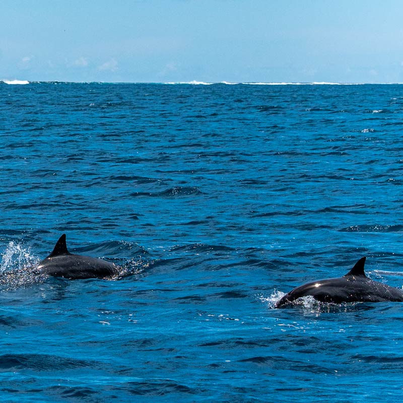 tour-lagon-journee-complete-prive