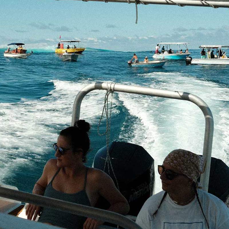 Teahupo'o Lagoon Tour Tours Privés